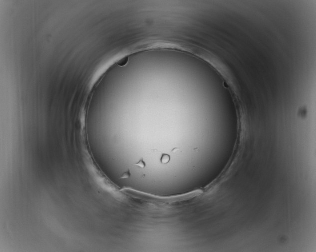 X0000115481198200911201832