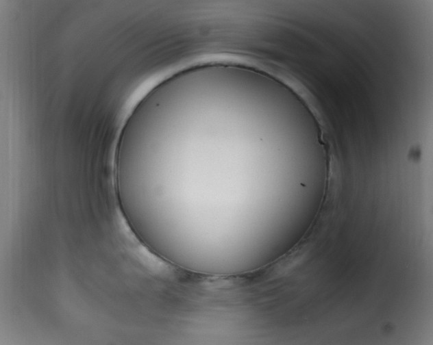 X0000115481199200911201832