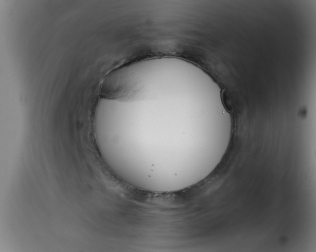 X0000115481201200911201832