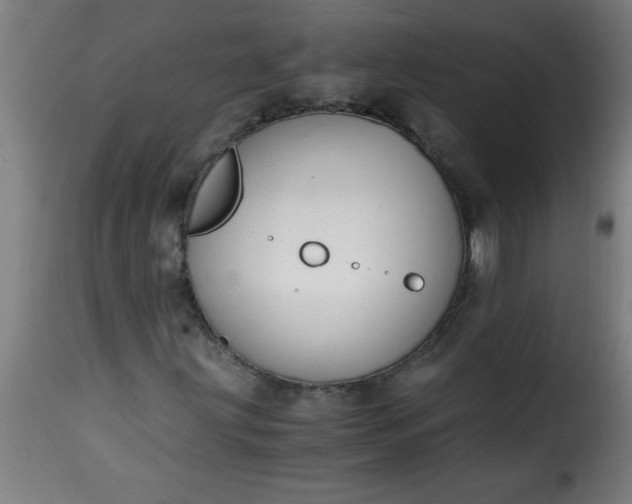 X0000115481203200911201832