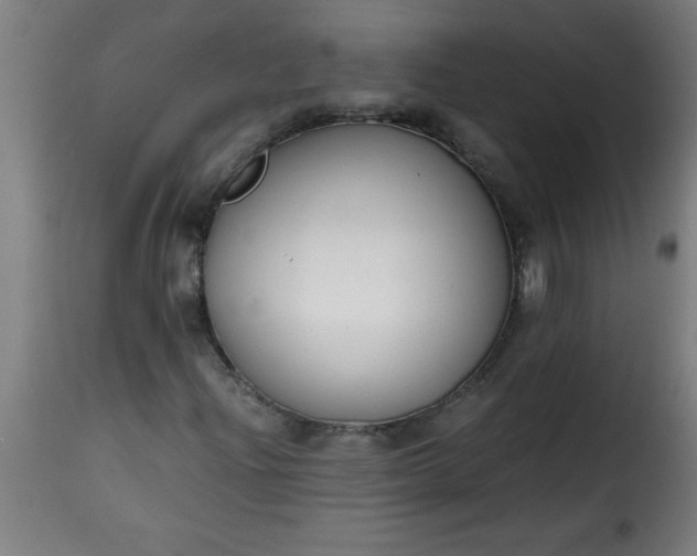 X0000115481204200911201832