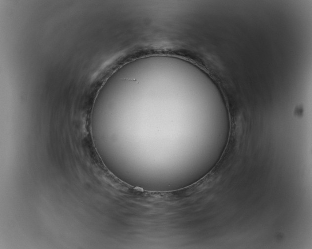 X0000115481205200911201832