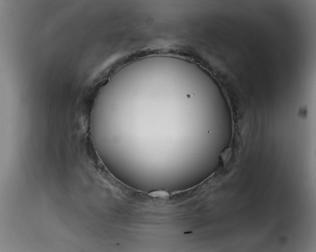 X0000115481206200911201832