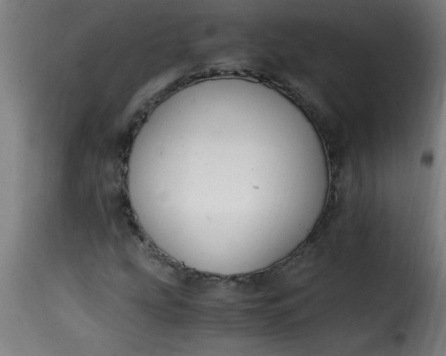 X0000115481207200911201832