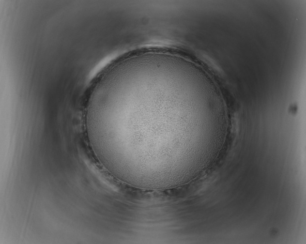 X0000115481208200911201832