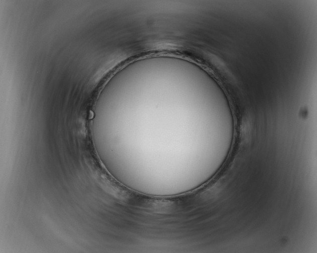 X0000115481209200911201832