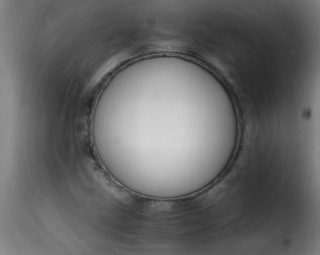 X0000115481211200911201832