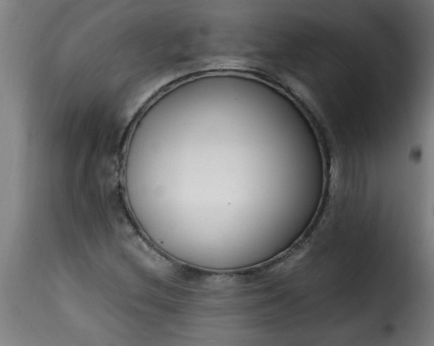 X0000115481212200911201832