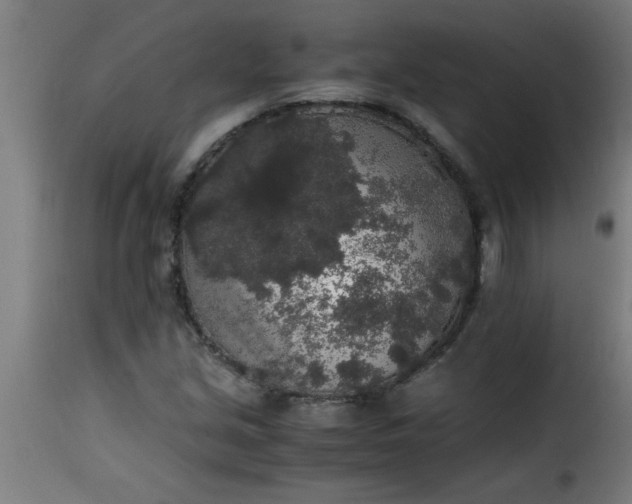 X0000115481213200911201832