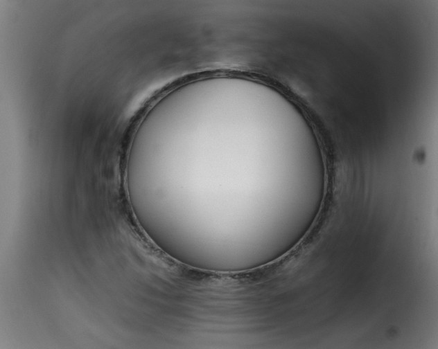 X0000115481214200911201832