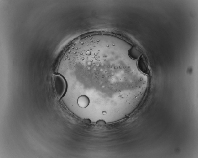 X0000115481215200911201832