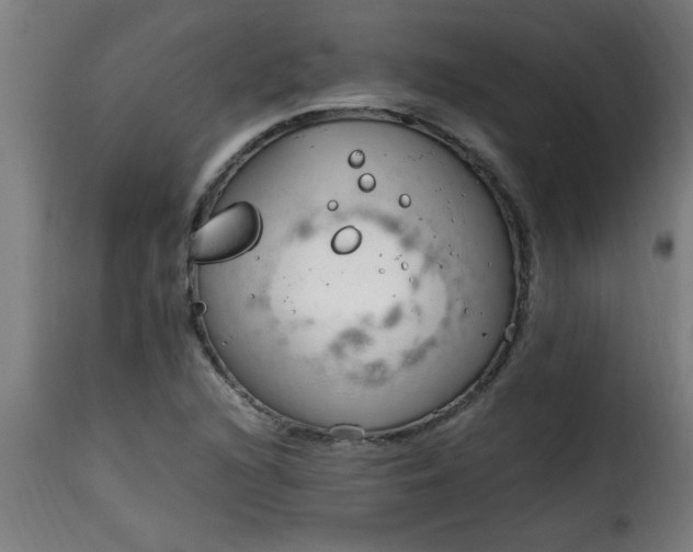 X0000115481216200911201832