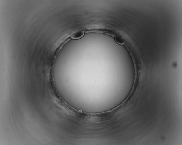 X0000115481217200911201832