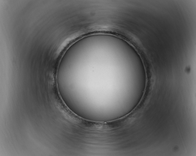 X0000115481218200911201832