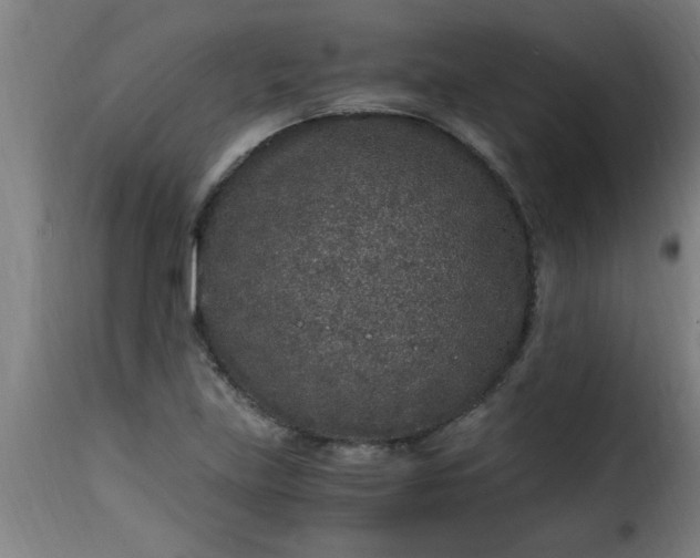 X0000115481219200911201832