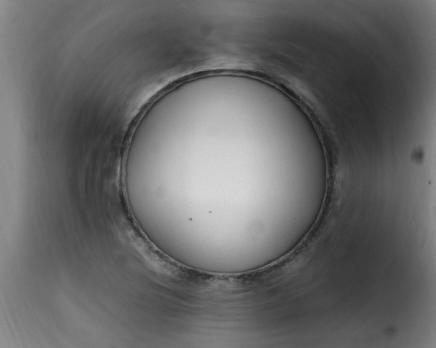 X0000115481220200911201832