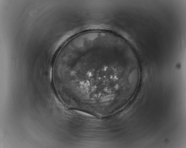 X0000115481221200911201832