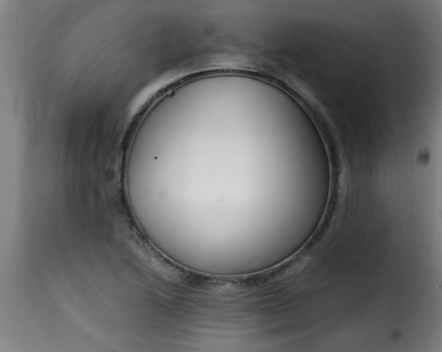 X0000115481222200911201832