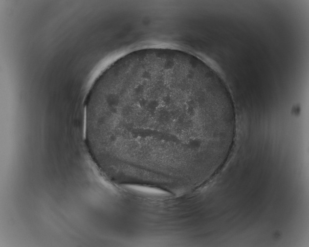 X0000115481223200911201832