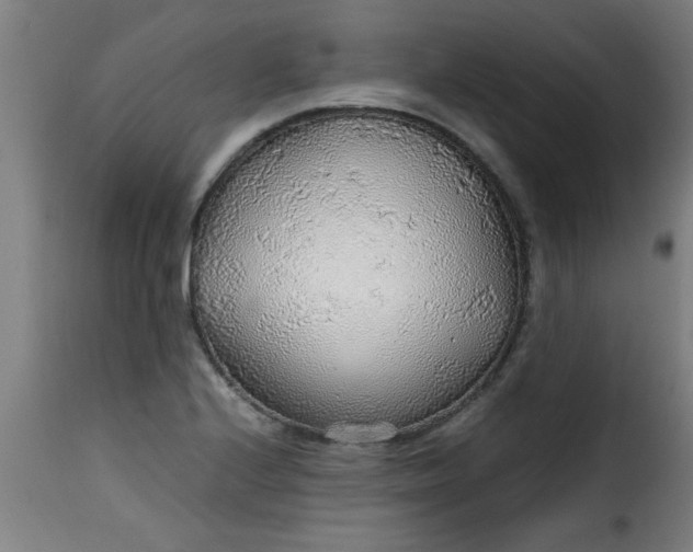 X0000115481224200911201832