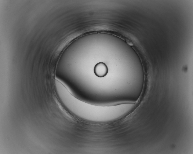 X0000115481225200911201832