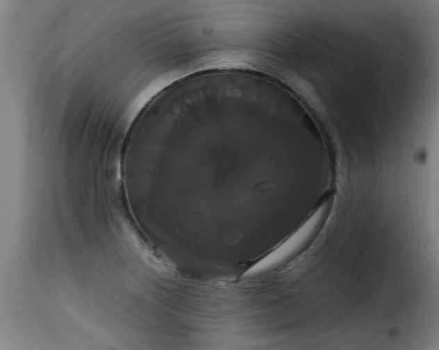 X0000115481226200911201832