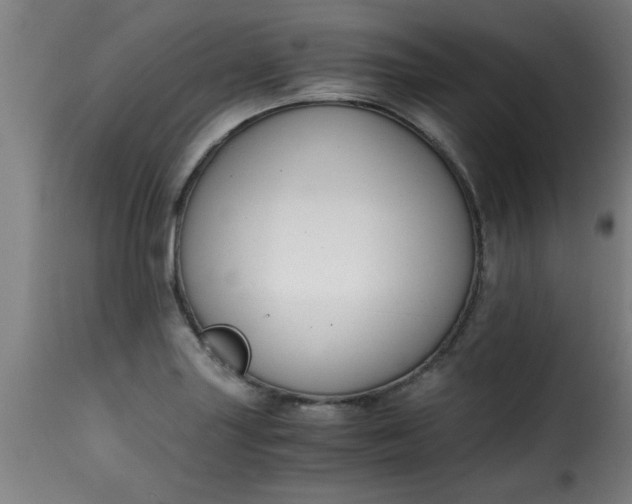 X0000115481227200911201832