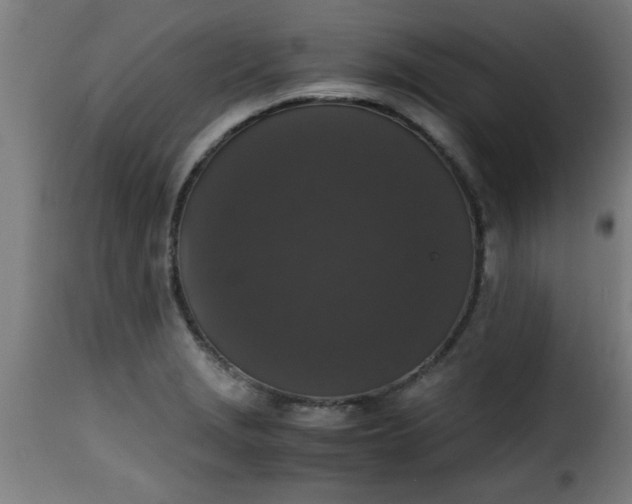 X0000115481229200911201832