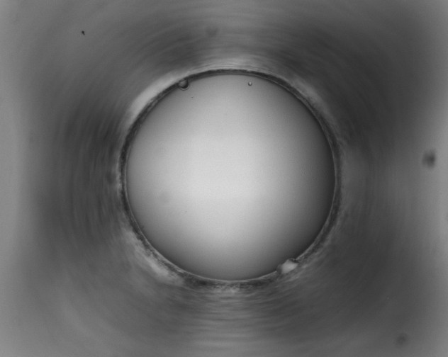 X0000115481230200911201832