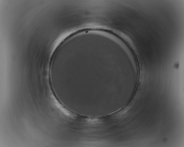 X0000115481231200911201832