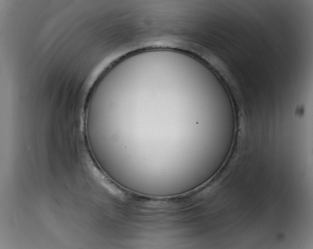 X0000115481232200911201832