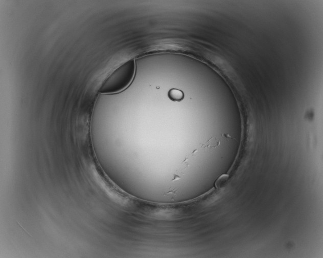 X0000115481233200911201832