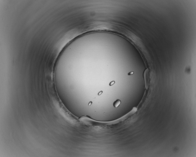 X0000115481234200911201832