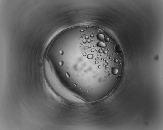 X0000115481235200911201832