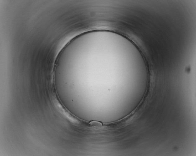 X0000115481236200911201832