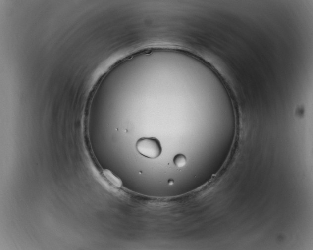 X0000115481237200911201832