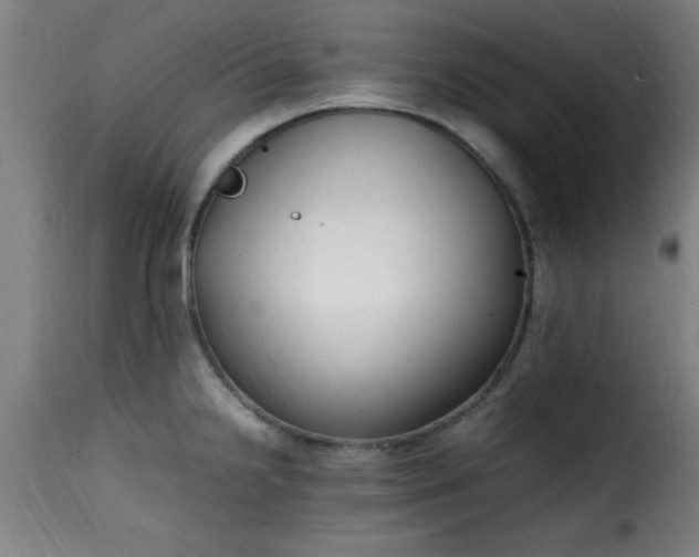 X0000115481238200911201832