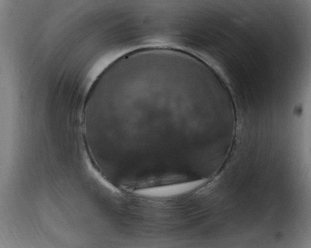 X0000115481239200911201832