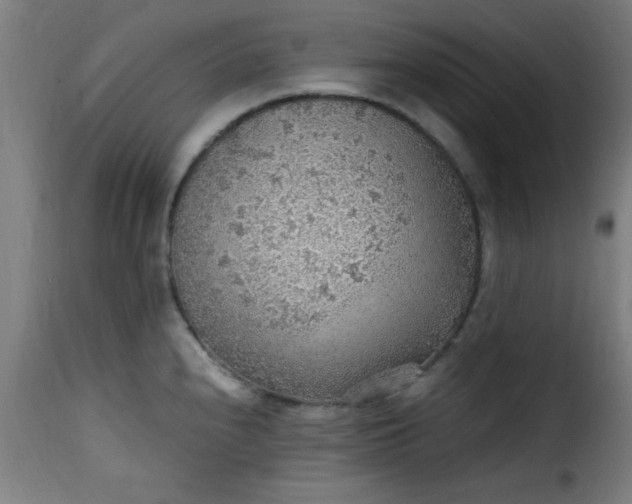 X0000115481240200911201832