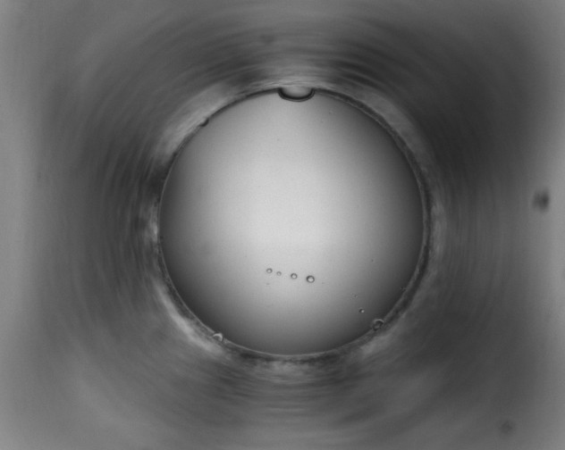 X0000115481241200911201832