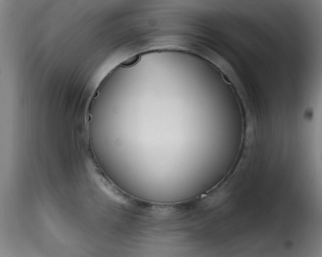 X0000115481242200911201832