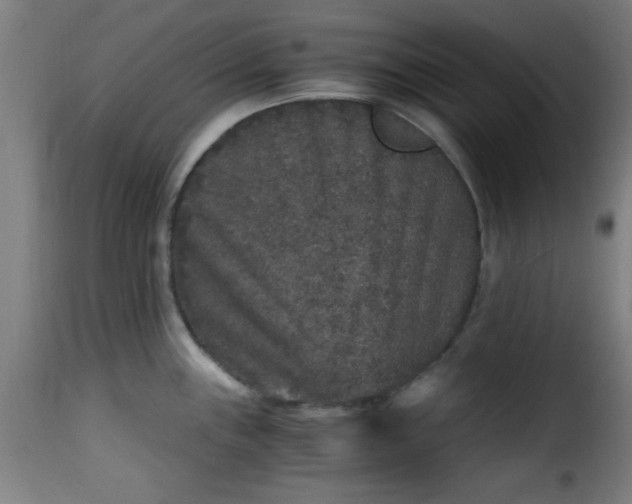 X0000115481243200911201832