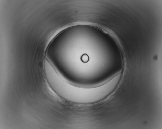 X0000115481244200911201832