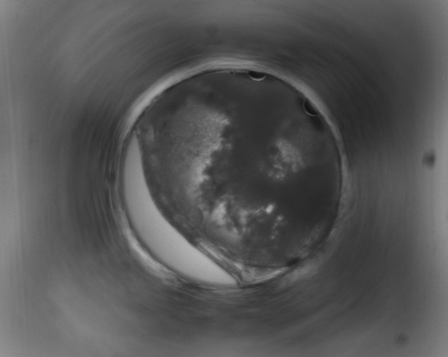 X0000115481245200911201832