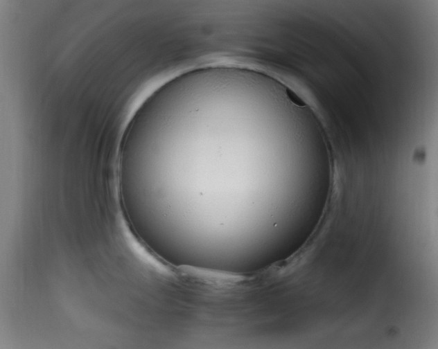 X0000115481247200911201832