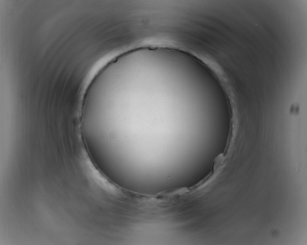 X0000115481248200911201832