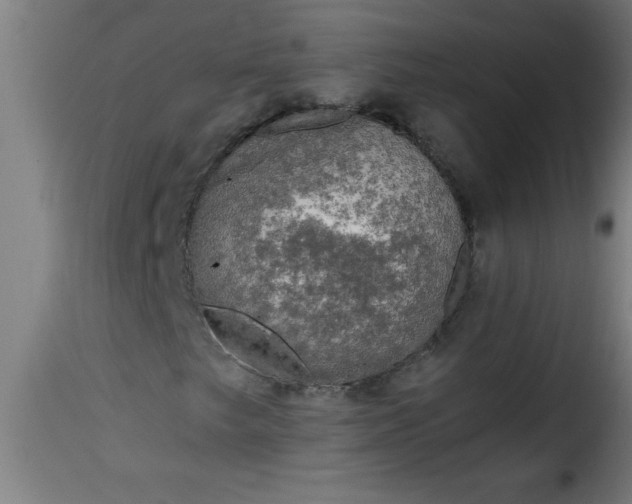 X0000115481249200911201832