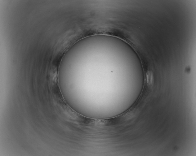 X0000115481251200911201831