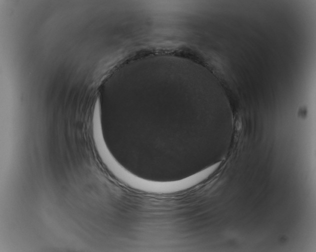 X0000115481252200911201831