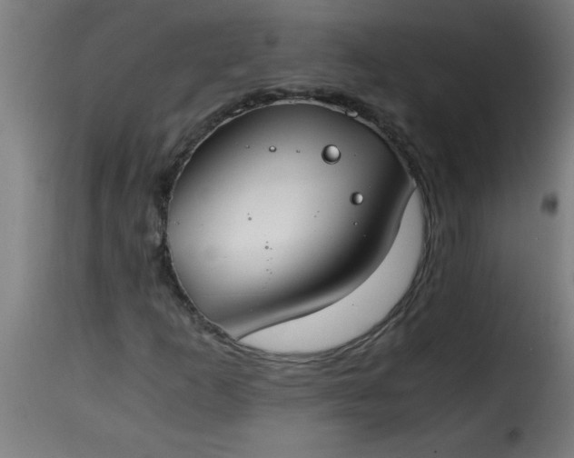 X0000115481253200911201831